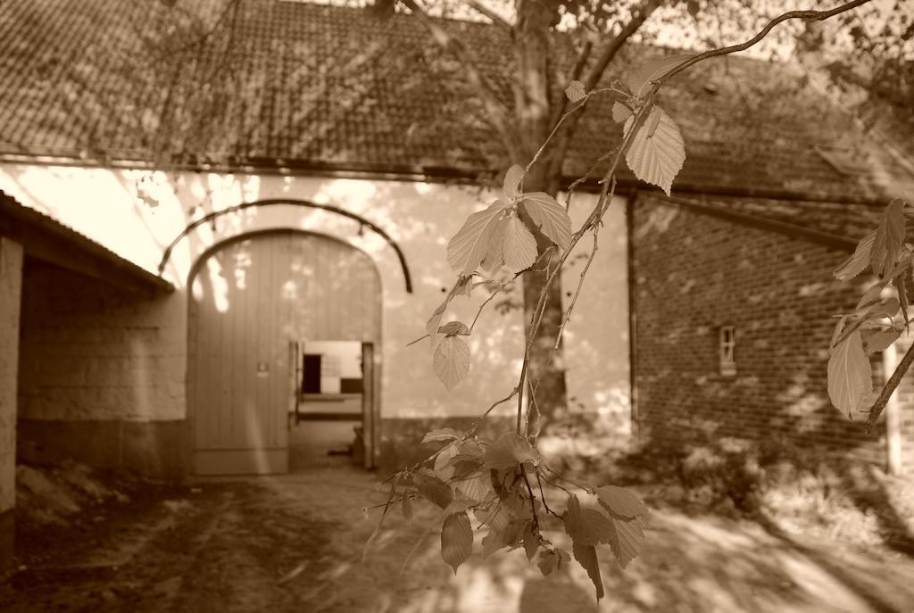 B&B De Oude Winning Riemst Kültér fotó